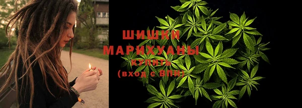 тгк Арсеньев