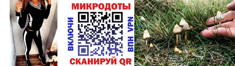 Псилоцибиновые грибы Cubensis  площадка телеграм  Коряжма  магазин  наркотиков 